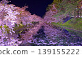 Cherry blossoms at night along the moat of Hirosaki Castle 139155222