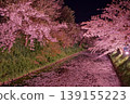 Cherry blossoms at night along the moat of Hirosaki Castle 139155223
