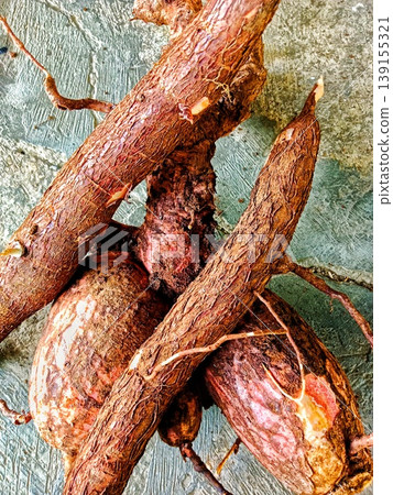 fresh cassava roots that have just been harvested fresh cassava roots that have just been harvested 139155321