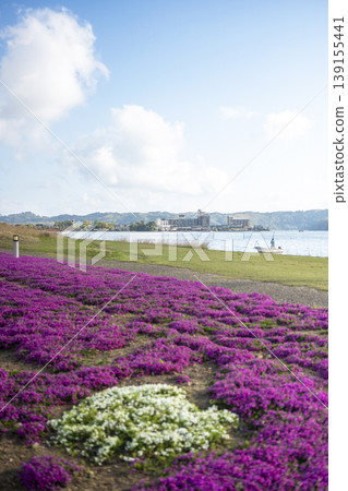 Moss phlox and fresh greenery around Togo Pond Moss phlox and fresh greenery around Togo Pond 139155441