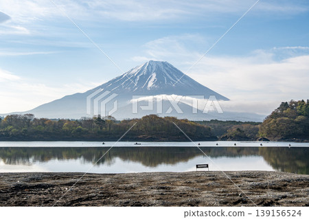 Mount Fuji with a Child as Seen from Lake Shoji Mount Fuji with a Child as Seen from Lake Shoji 139156524