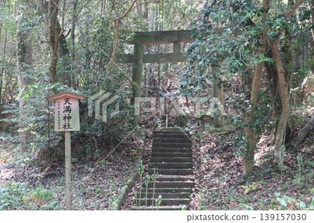 Usa Shrine Usa Shrine 139157030