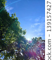 The sun visible from within the forest 139157427