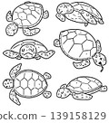 vector set of sea turtle 139158129