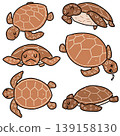 vector set of sea turtle 139158130
