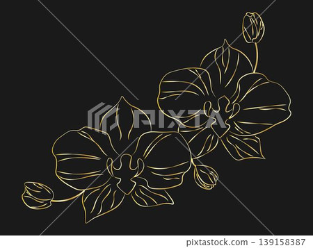 Elegant gold line art illustration of orchid flowers with buds on black dackground. Minimalist botanical drawing, perfect for floral design, invitations decor Elegant gold line art illustration of orchid flowers with buds on black dackground. Minimalist botanical drawing, perfect for floral design, invitations decor 139158387