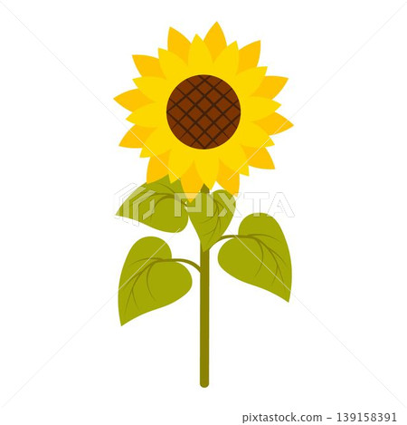 Elegant illustration of a vibrant sunflower with a detailed center and lush green leaves. Perfect for nature-themed designs, floral compositions, eco-friendly projects Elegant illustration of a vibrant sunflower with a detailed center and lush green leaves. Perfect for nature-themed designs, floral compositions, eco-friendly projects 139158391
