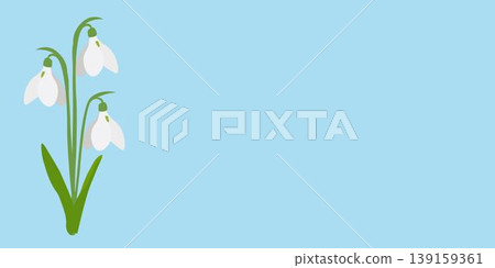 Spring background with snowdrops. Design concept for the protection of the environment, the arrival of spring Spring background with snowdrops. Design concept for the protection of the environment, the arrival of spring 139159361