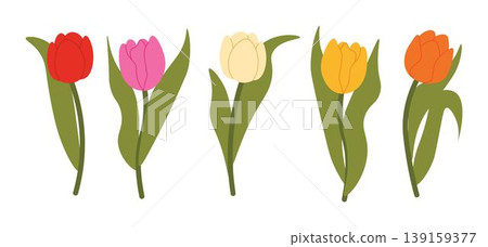 Set of isolated multicolored tulips for your floral designs. Spring flower. Design elements for postcards and greetings, card for your loved ones Set of isolated multicolored tulips for your floral designs. Spring flower. Design elements for postcards and greetings, card for your loved ones 139159377