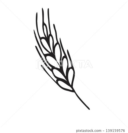 Spikelet of wheat in doodle style. Simple black and white sketch of wheat, barley or rye stalk for bakery products, flour, package.Vector illustration Spikelet of wheat in doodle style. Simple black and white sketch of wheat, barley or rye stalk for bakery products, flour, package.Vector illustration 139159576