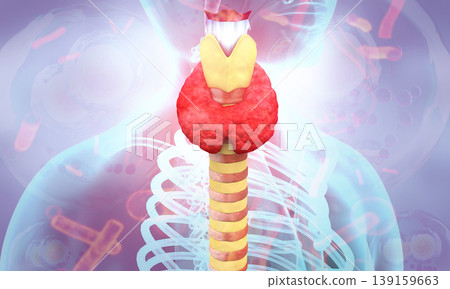 Abstract medical background with Human Body thyroid gland anatomy Abstract medical background with Human Body thyroid gland anatomy 139159663