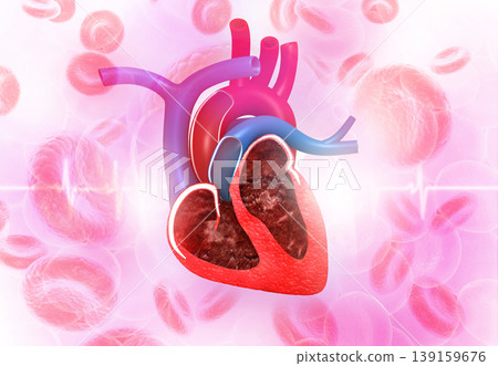 Human heart with cardiogram Human heart with cardiogram 139159676