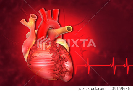 Human heart with cardiogram Human heart with cardiogram 139159686