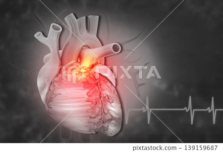 Human heart with cardiogram Human heart with cardiogram 139159687