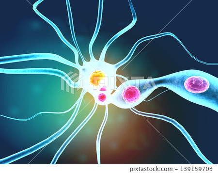 Neural network in the brain. nervous system Neural network in the brain. nervous system 139159703