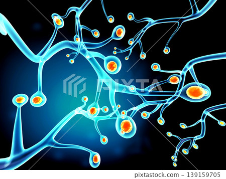 Neural network in the brain Neural network in the brain 139159705