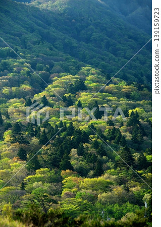 鳥取縣和北木國大山春意盎然的景象 鳥取縣和北木國大山春意盎然的景象 139159723
