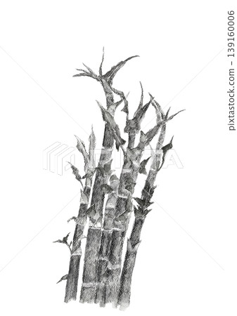 A monochrome illustration of Japanese knotweed (Itadori) drawn in a sumi-e style watercolor. [Hand-drawn] White background, cutout. 139160006
