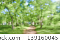 A refreshing background image of a lush green forest. 139160045