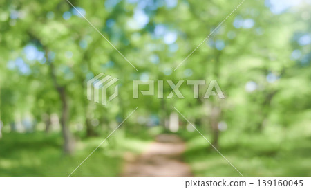 A refreshing background image of a lush green forest. A refreshing background image of a lush green forest. 139160045