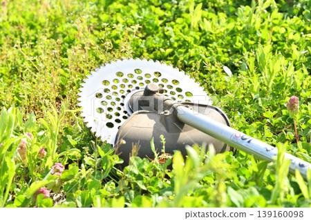 Mowing Mowing 139160098