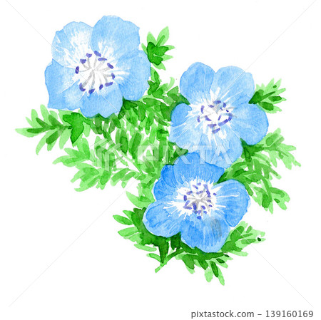 水彩畫《粉蝶》26425pixta7 139160169