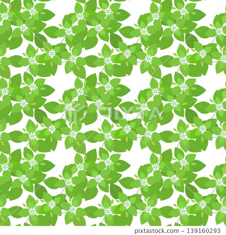 Seamless pattern of chickweed flowers Seamless pattern of chickweed flowers 139160293