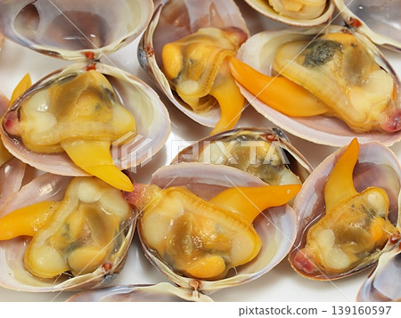 Close-up of boiled surf clams 139160597
