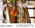 春日陽光下盛開的櫻花，以及一個金色的籃子 139160772