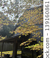 日本的房子 139160861