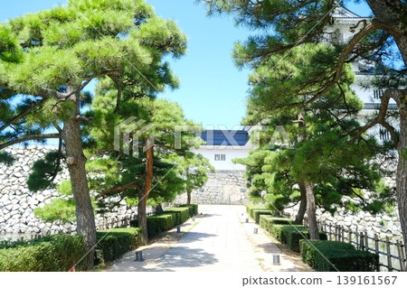 從通往神社的松樹林蔭道對面,可以看到一座白牆的日本城堡。 從通往神社的松樹林蔭道對面,可以看到一座白牆的日本城堡。 139161567