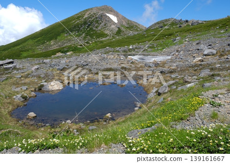 山地景觀點綴著嬌嫩的高山植物,散佈著池塘,夏季高海拔地區還有皚皚白雪。 山地景觀點綴著嬌嫩的高山植物,散佈著池塘,夏季高海拔地區還有皚皚白雪。 139161667