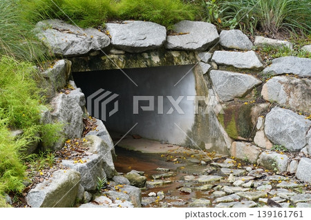 Stone Culvert with Yellow Flowers and Green Grass Stone Culvert with Yellow Flowers and Green Grass 139161761