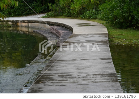 Scenic Boardwalk Over Water Calm Natural Landscape 139161790
