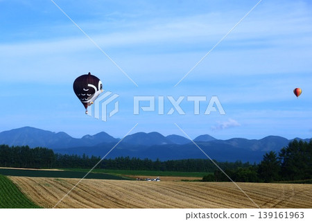 漂浮在藍天的氣球 漂浮在藍天的氣球 139161963