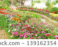 Vibrant floral garden with colorful blooming flowers, lush green foliage, and a tranquil water stream creating a picturesque landscape 139162354