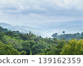 Lush green tropical rainforest with rolling hills and distant mountain ranges under a cloudy sky 139162359