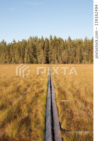 A wooden causeway through bogs in autumn in Siikaneva, Ruovesi, Finland 139162494
