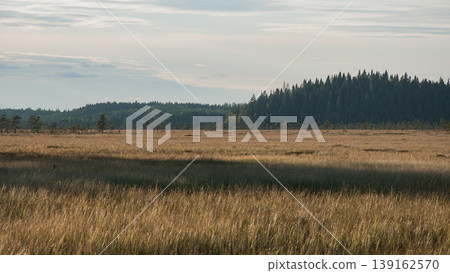 Bogs with trees in autumn in Siikaneva, Ruovesi, Finland 139162570