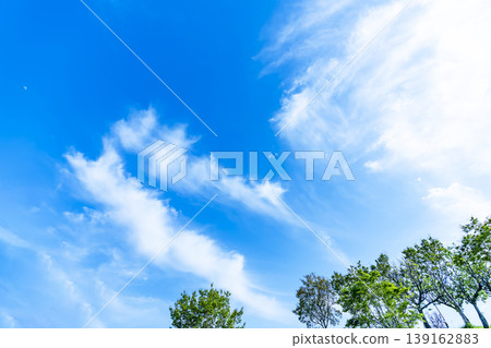 Springtime blue sky, clouds, and fresh green leaves Springtime blue sky, clouds, and fresh green leaves 139162883