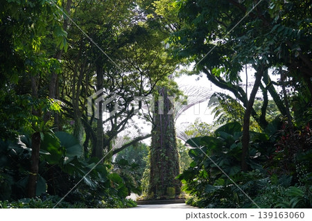 Gardens by the Bay in Singapore Lush Green Landscape Gardens by the Bay in Singapore Lush Green Landscape 139163060