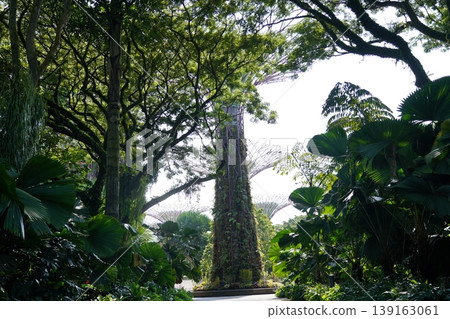 Gardens by the Bay Singapore Supertrees Landscape Gardens by the Bay Singapore Supertrees Landscape 139163061