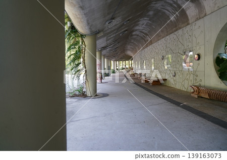 Botanical Walkway Architectural Design with Epipremnum aureum 139163073