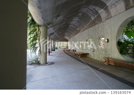 Underpass Tunnel with Plants and Artistic Walls Underpass Tunnel with Plants and Artistic Walls 139163074