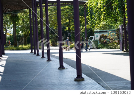 Urban Park Scene with People and Lush Greenery Urban Park Scene with People and Lush Greenery 139163083