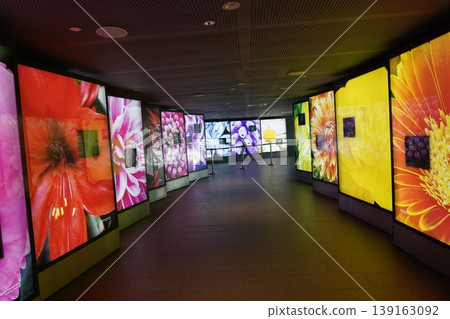Floral Art Installation Public Space Exhibition Floral Art Installation Public Space Exhibition 139163092