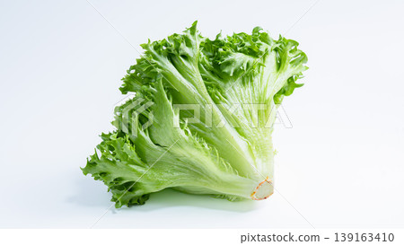 Frilly lettuce, fresh leafy greens against a white background. Frilly lettuce, fresh leafy greens against a white background. 139163410