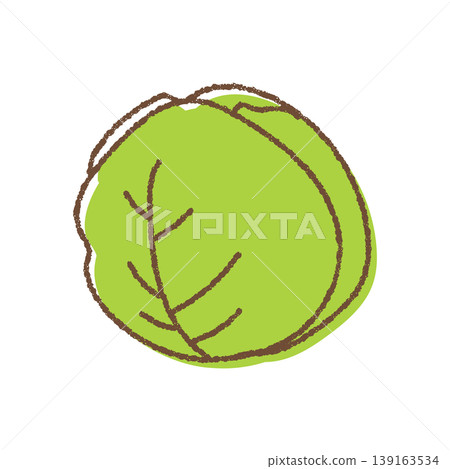 A simple, hand-drawn illustration of a cabbage. 139163534