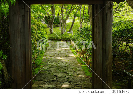 【清新綠意】熱海MOA美術館日式庭園 【清新綠意】熱海MOA美術館日式庭園 139163682