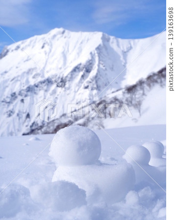 Snow ducks and Mount Tanigawa Snow ducks and Mount Tanigawa 139163698